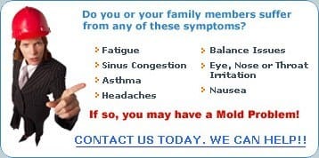 symptoms of a mold infestation woman in hardhat pointing