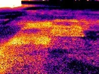 roof - thermal image